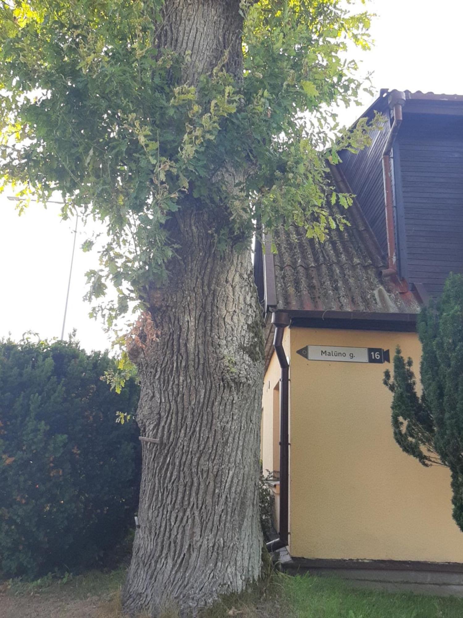 Prie Azuolo Apartamento Zarasai Exterior foto
