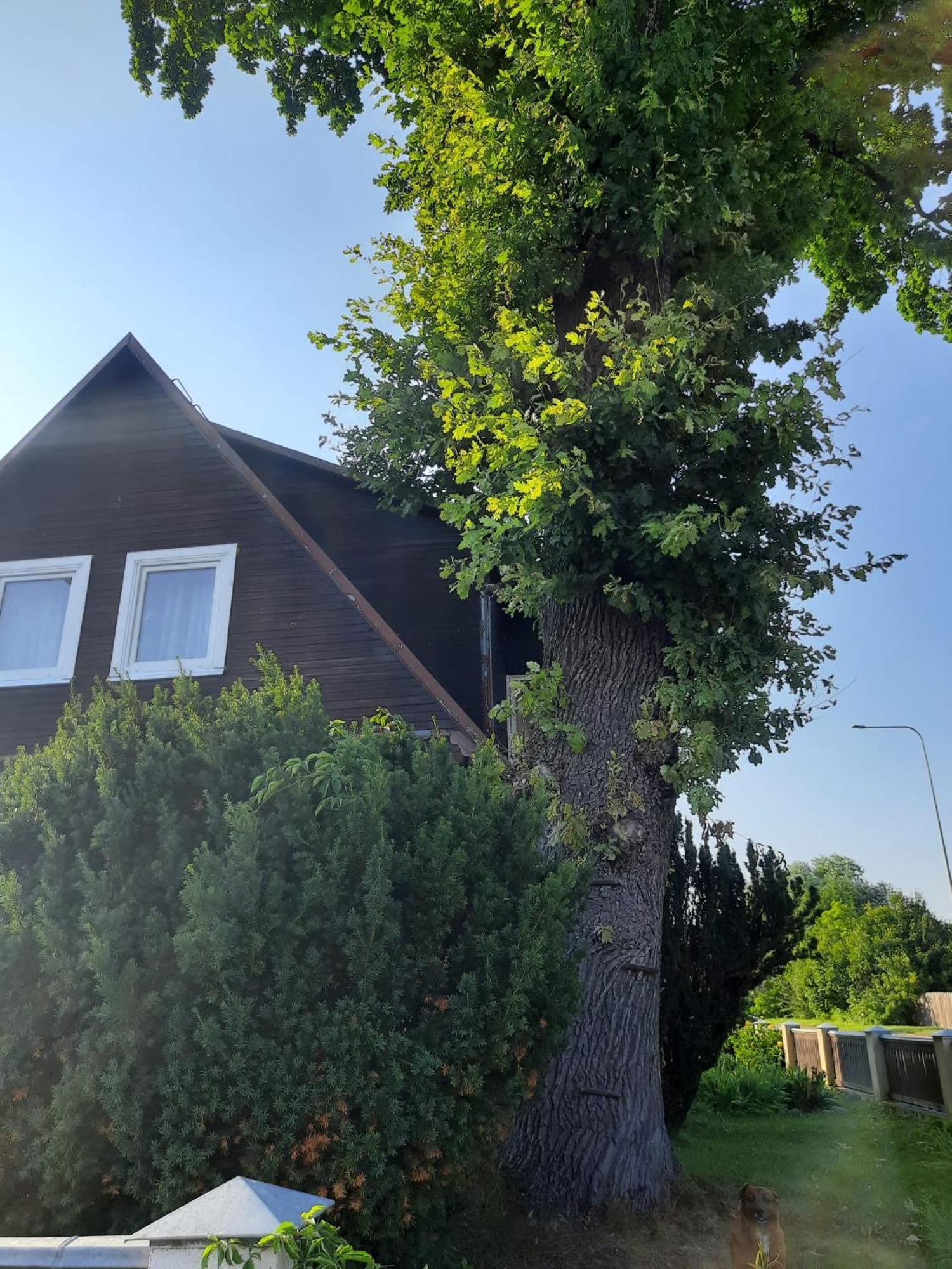 Prie Azuolo Apartamento Zarasai Exterior foto